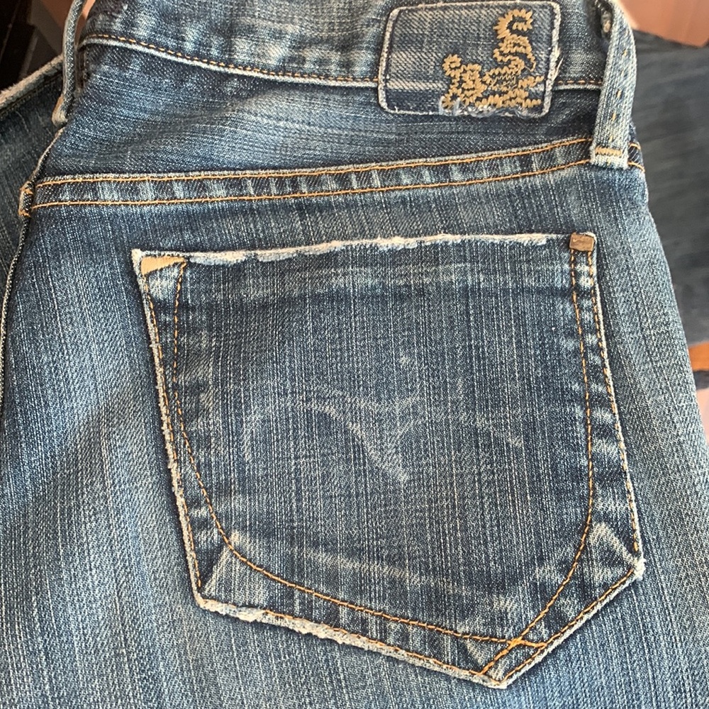 Goldsign denim low rise jean from 2007.